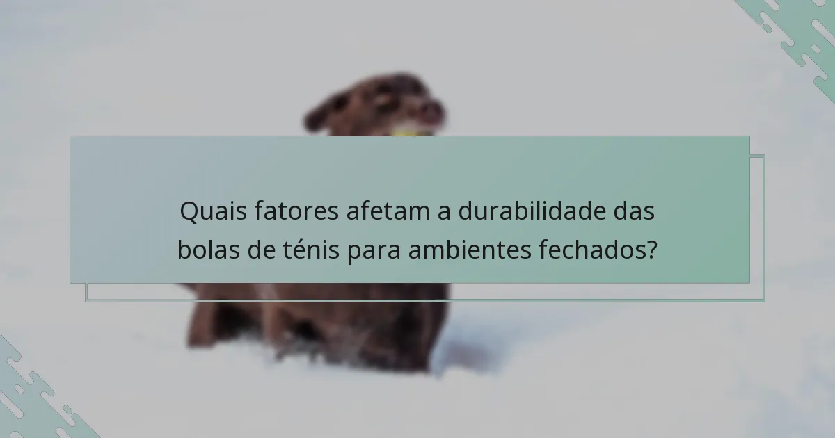 Quais fatores afetam a durabilidade das bolas de ténis para ambientes fechados?