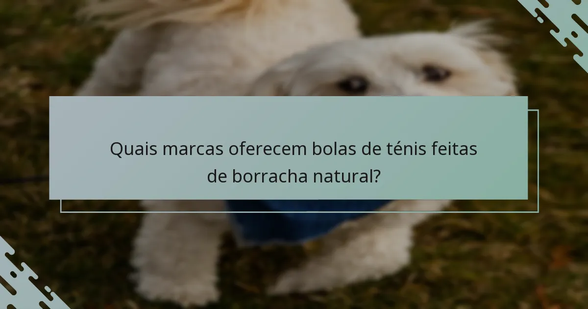 Quais marcas oferecem bolas de ténis feitas de borracha natural?
